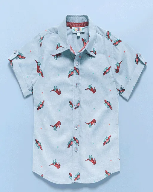 Dino shirt