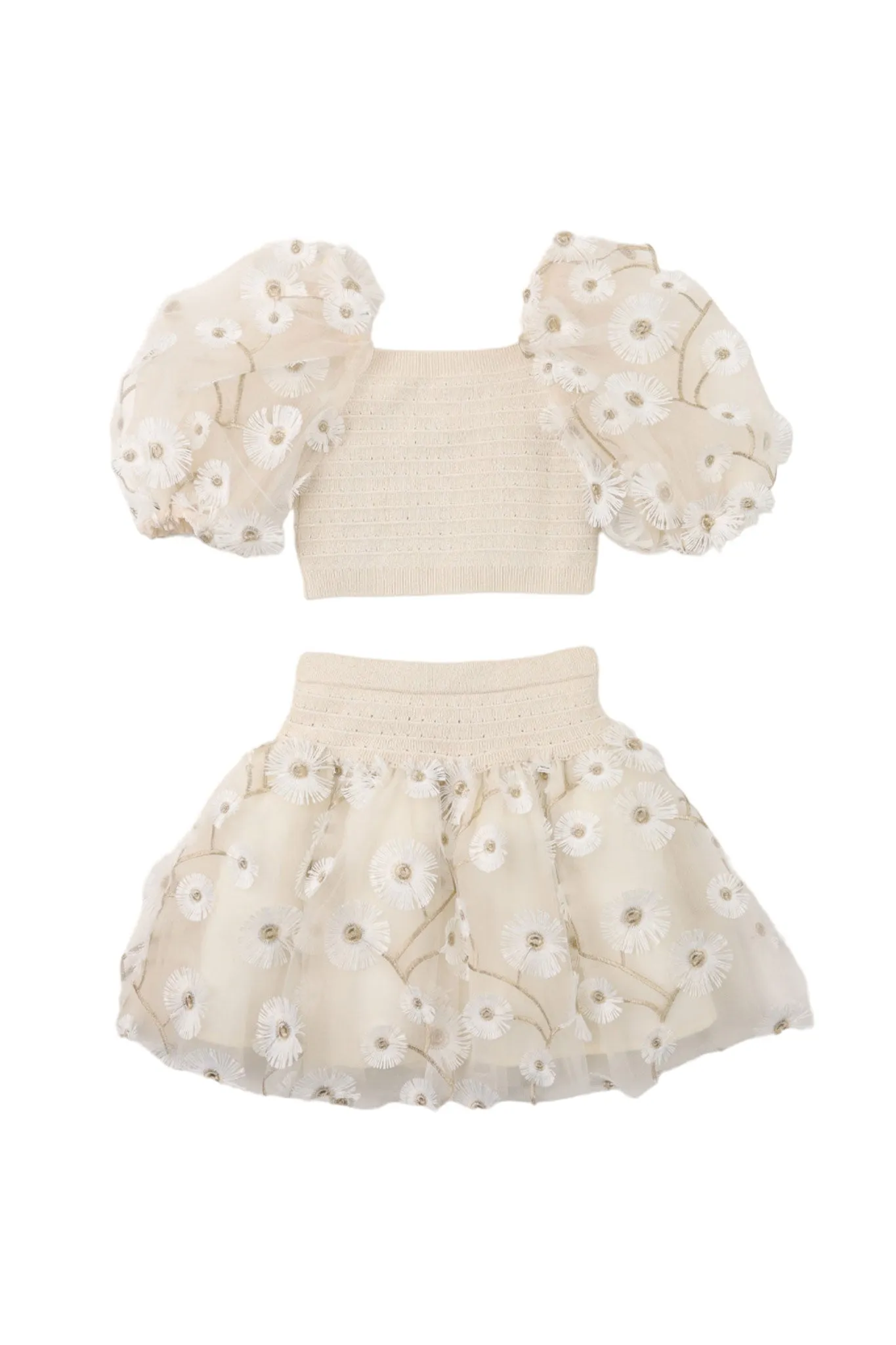 Gingersnaps Knit and Floral Applique Tulle Skirt Set